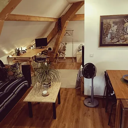Apartment Charming Near Center Annecy